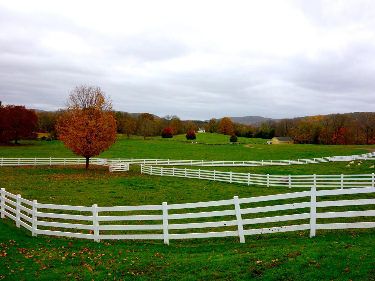 10 Dairy Farms Near NYC