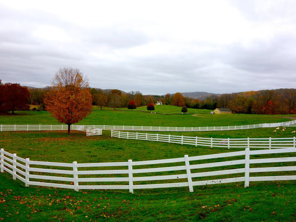 10 Dairy Farms Near NYC